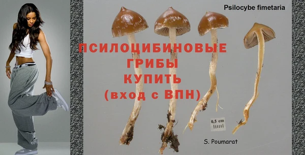 каннабис Гусев