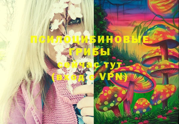 марки nbome Гусиноозёрск