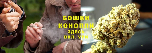 трава Гусь-Хрустальный