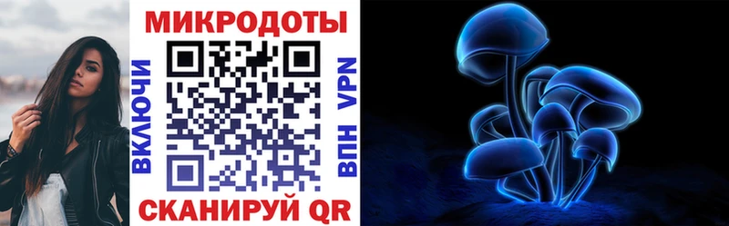 Псилоцибиновые грибы GOLDEN TEACHER Звенигород